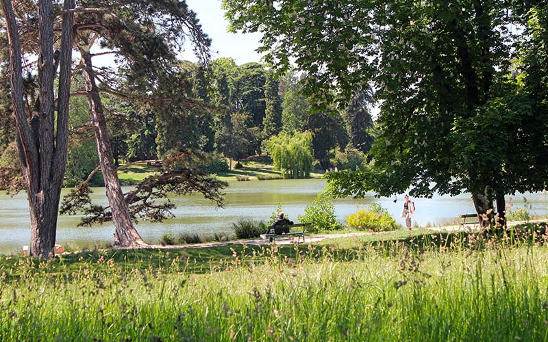 Chasseur de Maison ou d Appartement Vincennes Mon Chasseur Immo